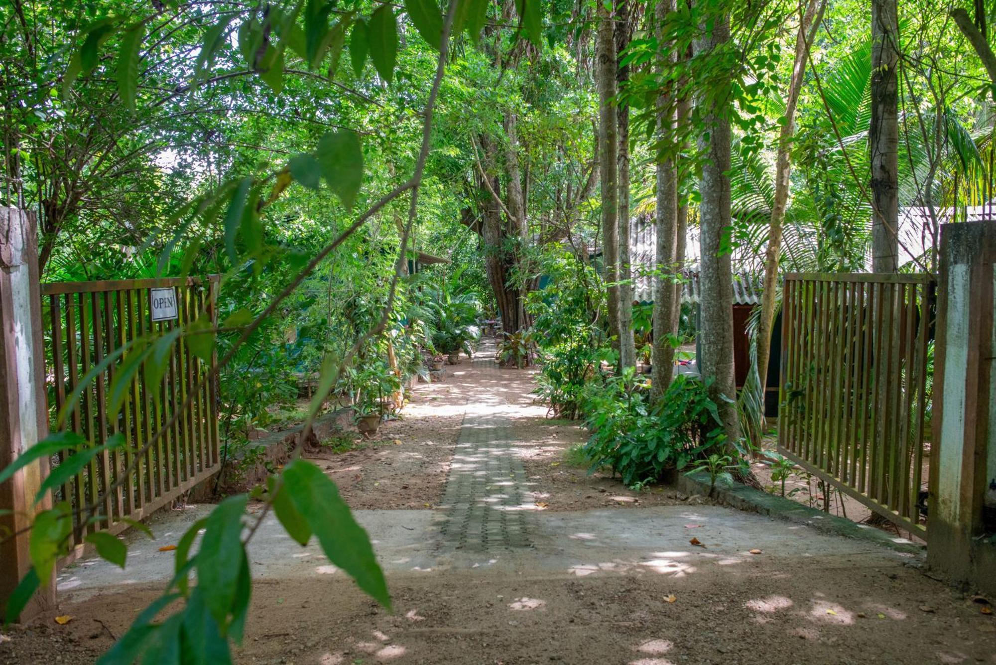 Silent Bungalow อุดาวาลาเว ภายนอก รูปภาพ