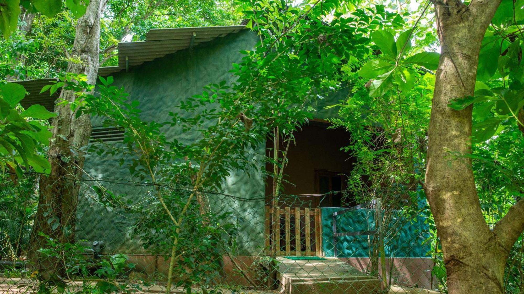 Silent Bungalow อุดาวาลาเว ภายนอก รูปภาพ