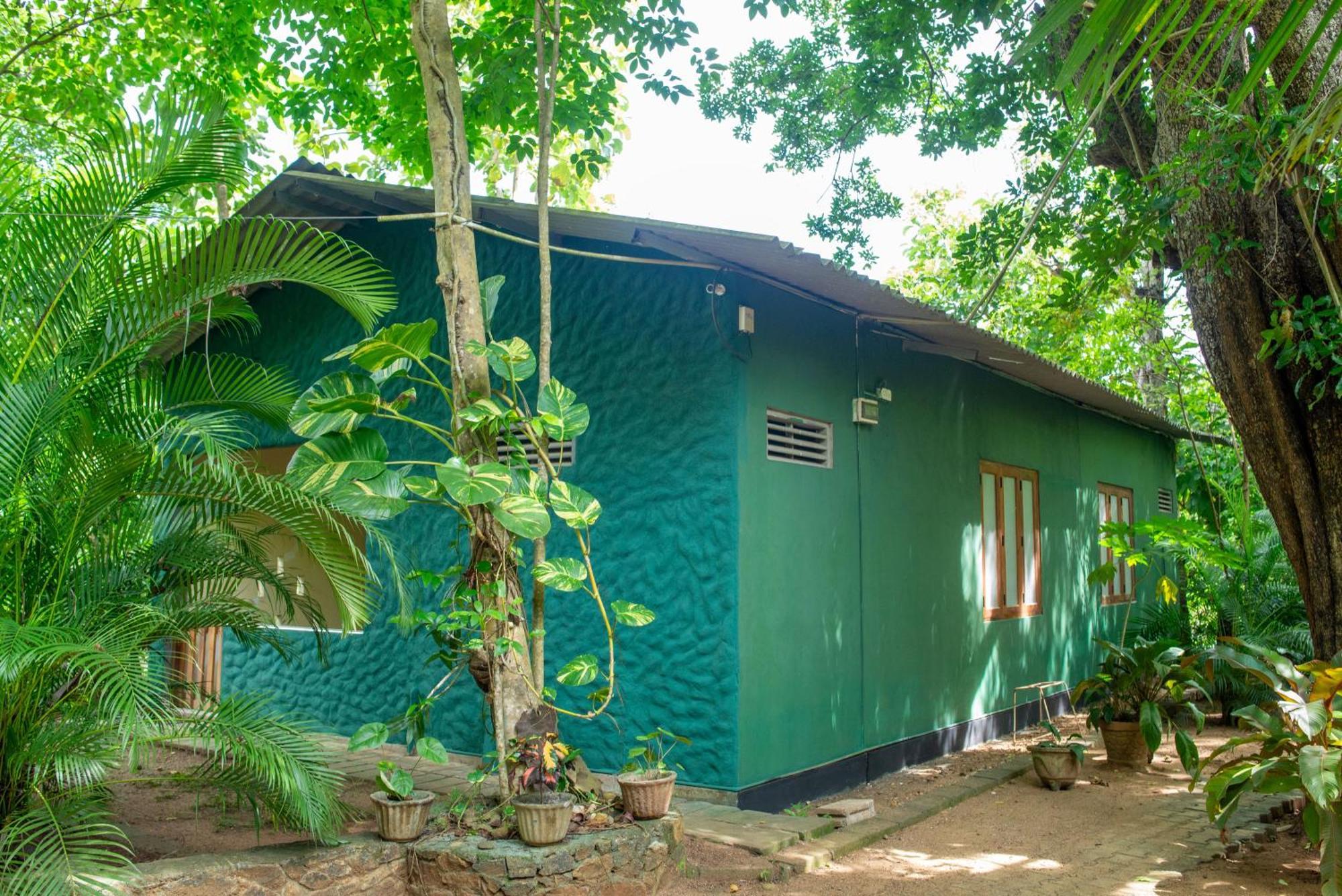 Silent Bungalow อุดาวาลาเว ภายนอก รูปภาพ