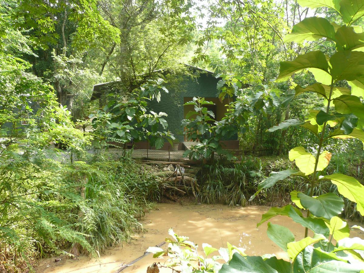 Silent Bungalow อุดาวาลาเว ภายนอก รูปภาพ