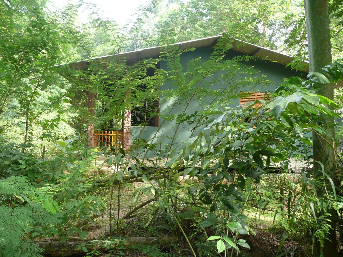Silent Bungalow อุดาวาลาเว ภายนอก รูปภาพ