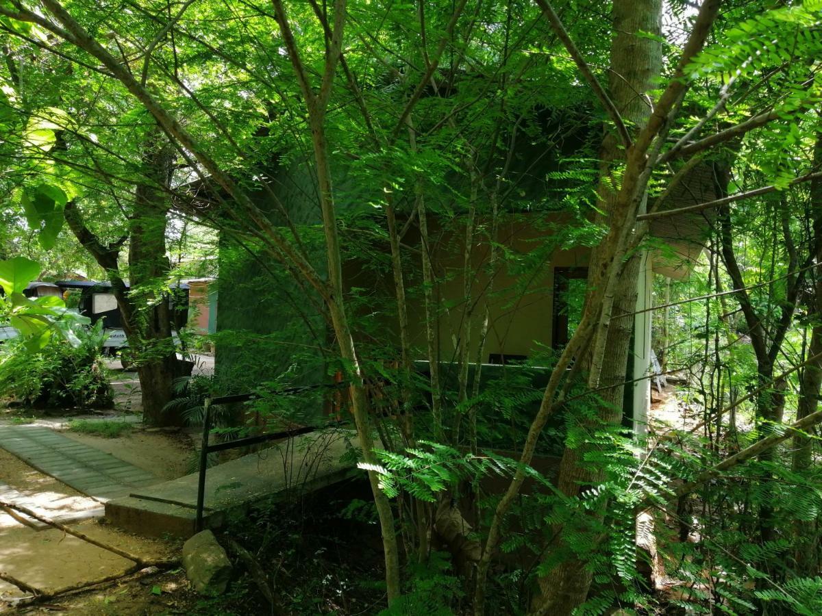 Silent Bungalow อุดาวาลาเว ภายนอก รูปภาพ